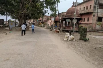 Vrindavan Parikrama Marg