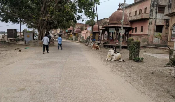 Vrindavan Parikrama Marg
